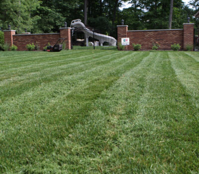 Hydroseeding