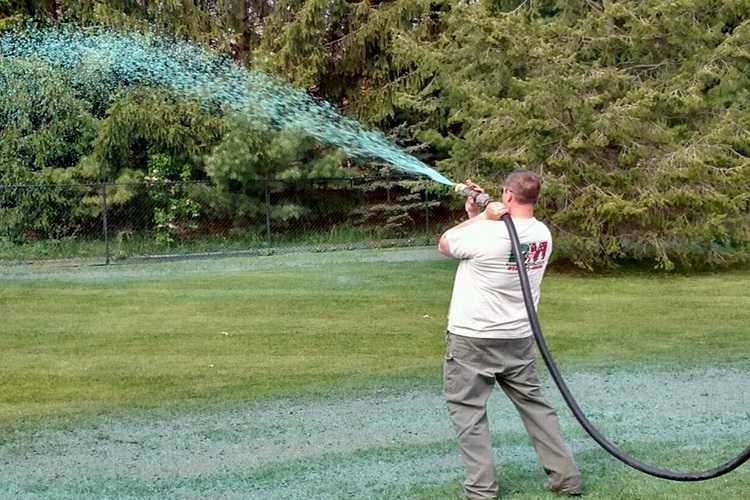 Hydroseeding