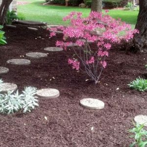 Benefits of Mulching